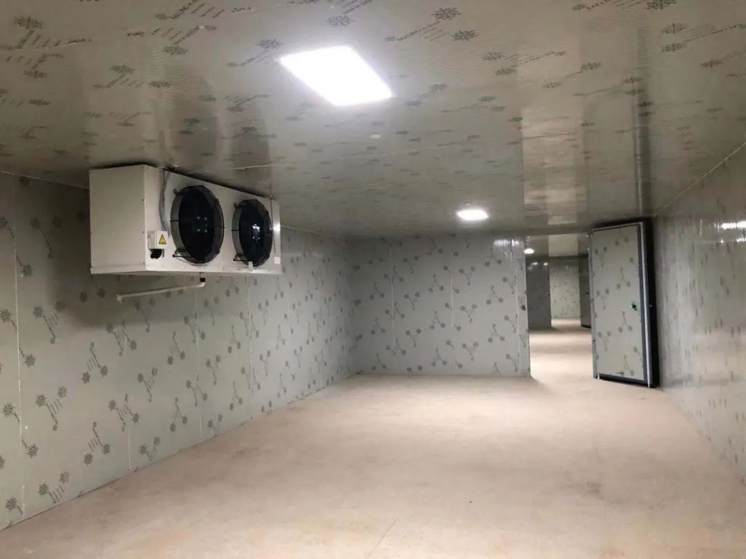 定襄气调保鲜冷库造价